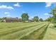 Expansive backyard featuring a well-maintained lawn and a row of charming brick homes at 5229 Imperial Dr, Columbus, IN 47203