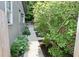 Landscaped walkway along the side of the house, leading to the pool area, with lush greenery at 6519 Creekside Ln, Indianapolis, IN 46220