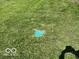 Green lawn with a visible drainage cover and a faint shadow of a person taking the photo at 9451 S Amanda Dr, Claypool, IN 46510