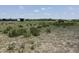 Horses graze near an open-air stall in a grassy pasture setting at 115 W State Road 38, Pendleton, IN 46064