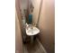 Small half-bath featuring a pedestal sink and decorative accents at 12509 Teacup Way, Indianapolis, IN 46235