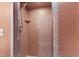 A close up shot of a shower in the home at 13153 Tudor Dr, Carmel, IN 46033