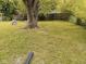 Spacious backyard with mature trees and a wooden fence, providing a serene outdoor space at 1741 N Riley Ave, Indianapolis, IN 46218