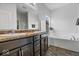 Bright main bathroom featuring double sinks, granite countertops, tub, and modern fixtures at 4736 Blue Marlin Way, Indianapolis, IN 46239