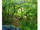 View of a lush and green ATV trail at 600 Old Moore Rd, Martinsville, IN 46151