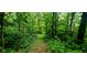 Scenic view of a lush ATV trail at 600 Old Moore Rd, Martinsville, IN 46151