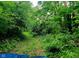 Secluded wooded acreage offers endless possibilities for outdoor adventures and creating your private sanctuary at 600 Old Moore Rd, Martinsville, IN 46151