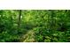 Picture yourself on this tranquil wooded property, perfect for building your dream home surrounded by nature's beauty at 600 Old Moore Rd, Martinsville, IN 46151