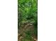 Untamed, this wooded lot offers a private escape and the perfect canvas for building your custom home at 600 Old Moore Rd, Martinsville, IN 46151
