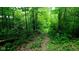 Discover this beautiful wooded lot, offering a tranquil escape and the perfect setting for your dream home or recreational retreat at 600 Old Moore Rd, Martinsville, IN 46151