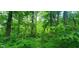 This wooded lot offers a serene setting with abundant trees, providing privacy and endless opportunities for outdoor enjoyment at 600 Old Moore Rd, Martinsville, IN 46151