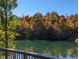 Scenic pond view in the fall, as seen from the wood deck at 600 Old Moore Rd, Martinsville, IN 46151