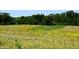 Overgrown field with tall grass and weeds at 0 Whitetail Ridge Lot 3, Mooresville, IN 46158