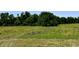 Overgrown field with tall grass and weeds at 0 Whitetail Ridge Lot 3, Mooresville, IN 46158