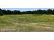 Overgrown field with tall grass and weeds at 0 Whitetail Ridge Lot 3, Mooresville, IN 46158