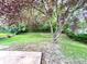 A spacious backyard with a beautiful, mature tree provides ample shade and greenery at 10922 Snowdrop Way, Indianapolis, IN 46235