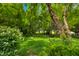 Lush backyard retreat featuring mature trees and a serene seating area, ideal for outdoor enjoyment at 1245 Elm Grove Ln, Greenwood, IN 46143
