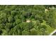 Aerial view of a secluded home surrounded by lush greenery and mature trees at 1350 Inverness Farms Rd, Martinsville, IN 46151