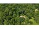 Aerial view of a secluded home surrounded by lush greenery and mature trees at 1350 Inverness Farms Rd, Martinsville, IN 46151