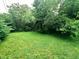 Secluded backyard with mature trees and lush ground cover. Provides a private and peaceful outdoor retreat at 196 Bakemeyer St, Indianapolis, IN 46225