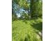Grassy backyard with mature shade trees at 2180 N Irwin St, Indianapolis, IN 46219