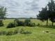 Lush backyard with vibrant green lawn, mature trees, and views of surrounding fields at 4363 Roosevelt Dr, Columbus, IN 47201
