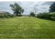 Expansive backyard showcasing a large, well-maintained green lawn with open space at 4363 Roosevelt Dr, Columbus, IN 47201