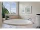 Bathtub featuring stone tiling, natural light, and garden view for a relaxing setting at 1497 Maple Ridge Ct, Columbus, IN 47201