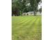 Spacious backyard featuring lush green grass, mature trees, and outbuildings for extra storage or hobbies at 386 Shadow Hill Dr, Greenwood, IN 46142