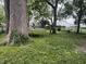 Spacious backyard with lush greenery, mature trees, trampoline, and a partial view of a white warehouse at 4521 Vernon Ave, Indianapolis, IN 46226