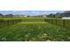 Large fenced backyard, showcasing a well-manicured lawn and neighborhood homes in the distance at 4832 W Safford Dr, New Palestine, IN 46163