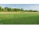 Large, green backyard extends to the tree line at 848 Holmdale Dr, Indianapolis, IN 46239
