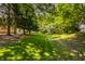 Green lawn leading to mature trees with house visible on right, showcasing a lush backyard space at 1229 Helford Ln, Carmel, IN 46032