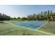 Well-maintained tennis courts ready for play, surrounded by mature trees and greenery at 1229 Helford Ln, Carmel, IN 46032