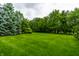 Lush green lawn stretches out, showcasing the home's expansive backyard at 13346 W Sherbern Dr, Carmel, IN 46032