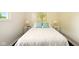 A cozy bedroom with a full sized bed, side tables, and decorative pillows at 1513 S Rural St, Indianapolis, IN 46203