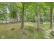 Secluded backyard with mature trees and a charming swing set, perfect for outdoor enjoyment at 545 Pitney Dr, Noblesville, IN 46062