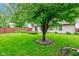 Well-maintained backyard with lush green grass, mature tree and nice landscaping at 7918 Bitternut Dr, Indianapolis, IN 46236