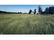 Lush, green pasture, showcasing the expansive land at 1170 E 400 S, Lebanon, IN 46052