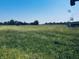 Scenic view of a grassy field with trees in the background at 1170 E 400 S, Lebanon, IN 46052