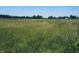 Expansive grassy field with trees in the background, showcasing the property's serene setting at 1170 E 400 S, Lebanon, IN 46052