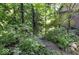 Backyard with lush greenery and a wooden walkway leading toward the house at 20417 State Road 37 N, Noblesville, IN 46060