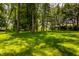 Shady backyard with lush green grass and mature trees at 289 Sandbrook Dr, Noblesville, IN 46062