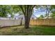 Fenced backyard with mature tree in the center at 311 S 6Th Ave, Beech Grove, IN 46107