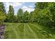 Lush green backyard featuring a meticulously striped lawn and mature trees at 4529 Panthera Leo Dr, Carmel, IN 46074