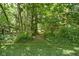 Picturesque yard featuring a serene, shaded path and lush greenery at 4529 Panthera Leo Dr, Carmel, IN 46074
