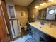 Rustic bathroom featuring a modern vanity, wood accent wall, and decor at 530 Denny Dr, Mooresville, IN 46158