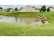 Scenic backyard pond surrounded by green grass, creating a peaceful atmosphere at 2211 Willowview Dr, Indianapolis, IN 46239