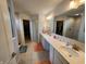 Bathroom featuring double sinks, a large mirror, and walk-in closets at 6731 Keepsake Dr, Whitestown, IN 46075