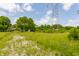 Expansive undeveloped land behind home, full of trees and open space at 8015 Ridgegate East Dr, Indianapolis, IN 46268